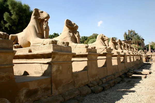 Avenue of the ram-headed Sphinxes. Karnak Temple. Luxor, Egypt. January, 2005