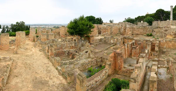 Vista panorámica de la cita arqueológica de capital de la antigua civilización cartaginesa. Cartago (Cartago). UNESCO Patrimonio de la Humanidad. Túnez, Túnez . — Foto de Stock