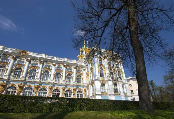 Catherine Palace, Tsarskoe selo 'da diriliş Kilisesi, Sankt-Petersburg, Rusya. .