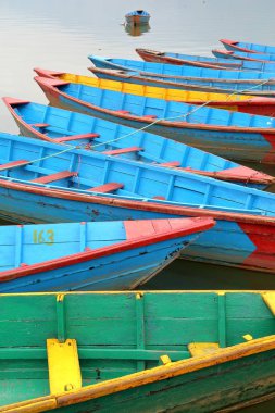 Pokhara, Nepal: Renkli kürekli tekneler Phewa Gölü