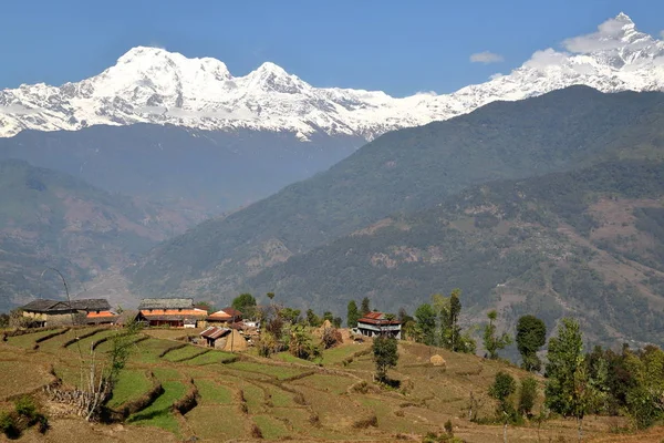 Dhampus, Nepal: De Himalaya-bergen gezien vanaf Annapurna uitlopers in de buurt van Pokhara — Stockfoto