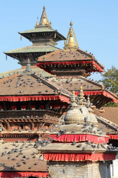 Kathmandu, Nepal: Durbar Square met duiven op de daken — Stockfoto