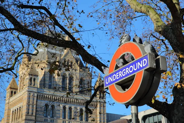 London, Storbritannien - 28 November, 2016: London Underground skylt med duvor och Naturhistoriska museet i bakgrunden i South Kensington — Stockfoto