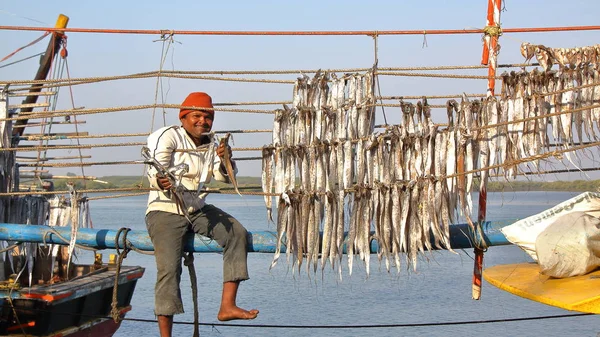 DIU, INDIA - 9 DE ENERO DE 2014: Pescador instala pescado en puerto pesquero de Vanakbara en la isla de Diu — Foto de Stock