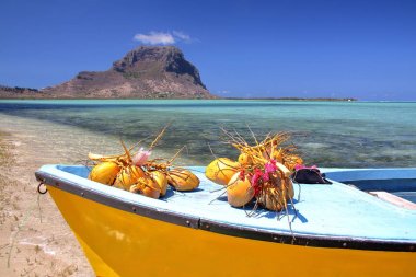 Mauritius: Hindistancevizi ile arka planda Morne Braband Benitiers adada bir tekne