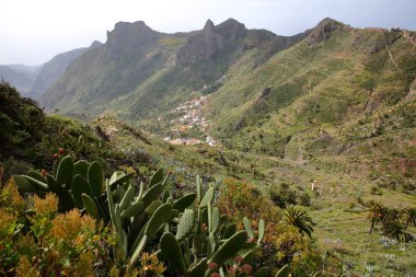 IMADA, La Gomera, İspanya: Dağlık ve yeşil yatay, ön arka plan ve kaktüs bitkilerde Imada köyde