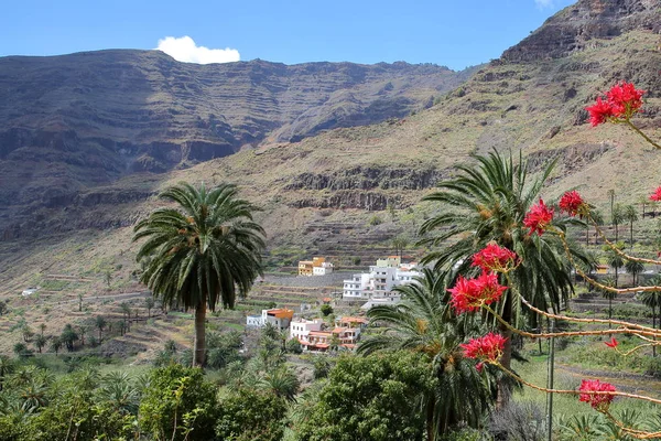 바 예 그 란 레이, 라 Gomera, 스페인: 산악 및 녹색 풍경 야자수와 계단식된 필드 — 스톡 사진