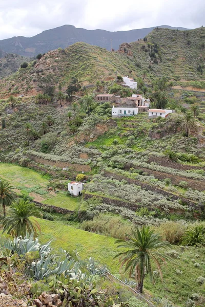 라 Gomera, 스페인: 계단식된 필드와 Vallehermoso 근처 산 — 스톡 사진