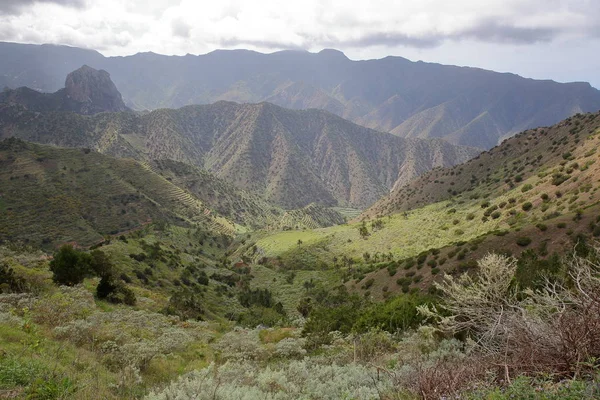 Agulo와 Vallehermoso 사이 계단식된 필드와 라 Gomera, 스페인: 산악 및 녹색 풍경 — 스톡 사진