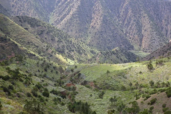 Agulo와 Vallehermoso 사이 계단식된 필드와 라 Gomera, 스페인: 산악 및 녹색 풍경 — 스톡 사진
