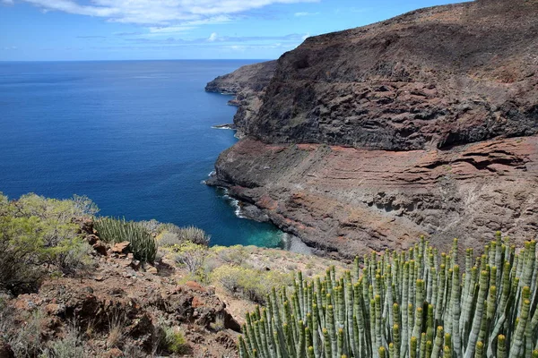 Alajero, La Gomera, Španělsko: Pohled z divokého pobřeží poblíž Alajero od turistická stezka Sendera Quise s kaktusy — Stock fotografie