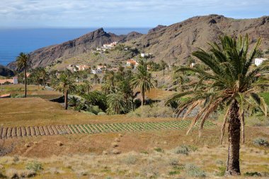 ALOJERA, LA GOMERA, SPAIN: Alojera with mountains, palm trees and terraced fields clipart
