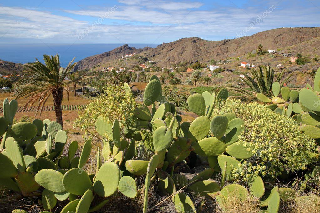 ALOJERA, LA GOMERA, SPAIN Alojera with mountains, palm trees and