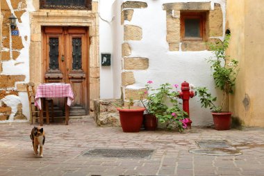 Hanya, Girit - 19 Mayıs 2014: The Old Town renkli bir sokakta dolaşırken bir kedi