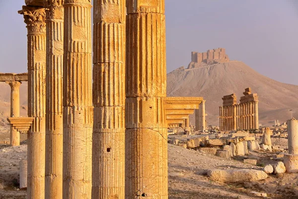 PALMYRA, SYRIA: The archaeological site of Palmyra  This picture was taken in April 2010, less than one year before the beginning of the tragic events in Syria — Stock Photo, Image