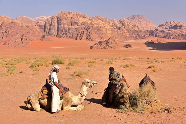 WADI RUM, JORDANIA - 12 DE NOVIEMBRE DE 2010: Guías jordanos preparan camellos para hacer senderismo en el desierto de Wadi Rum — Foto de Stock