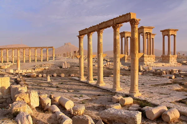 Palmira, SYRIA: O sítio arqueológico de Palmira Esta fotografia foi tirada em Abril de 2010, menos de um ano antes do início dos trágicos acontecimentos na Síria — Fotografia de Stock
