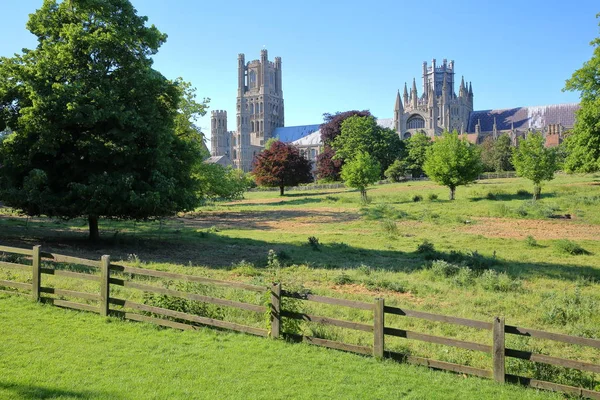 Veduta della Cattedrale dal Cherry Hill Park di Ely, Cambridgeshire, Norfolk, Regno Unito — Foto Stock
