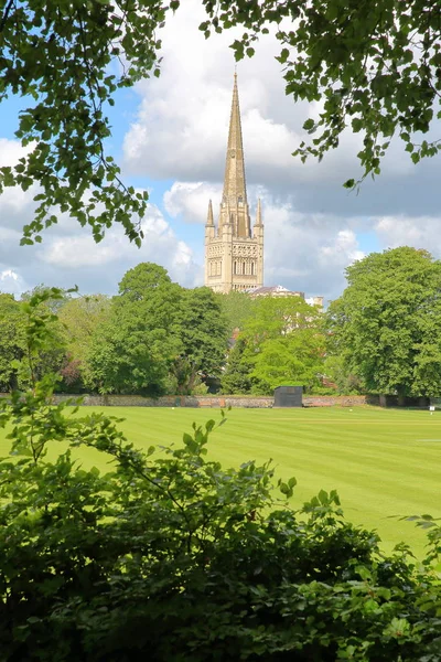 La campagna con la torre e la guglia della Cattedrale di Norwich sullo sfondo, Norfolk, Regno Unito — Foto Stock