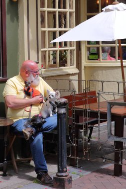 Hastings, İngiltere - 22 Temmuz 2017: Onun üç sevimli küçük köpeklerle George Caddesi'nde bir kafede oturan bir sakallı bir adam