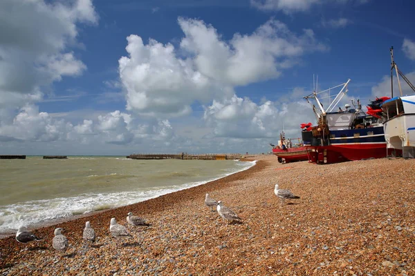 Praia lançou barcos de pesca com um belo céu e gaivotas em primeiro plano, Hastings, Reino Unido — Fotografia de Stock