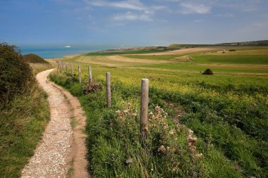 A coastal path with colorful surrounding fields near Cap Blanc Nez, Cote d'Opale, Pas de Calais, Hauts de France, France