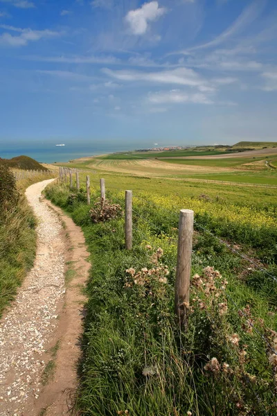 A coastal path with colorful surrounding fields near Cap Blanc Nez, Cote d'Opale, Pas de Calais, Hauts de France, France