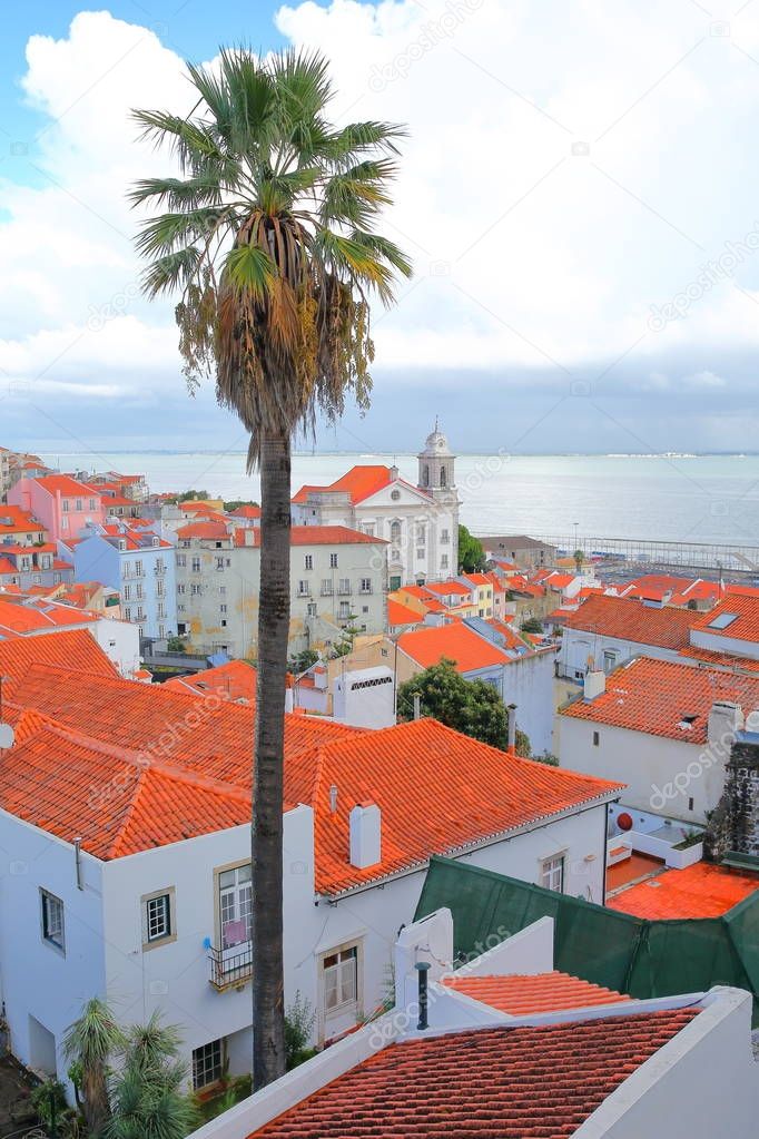 Alfama neighborhood viewed from Santa Luzia viewpoint (miradouro) with a palm tree in the foreground and Santa Estevao Church and Tagus river in the background, Lisbon, Portugal