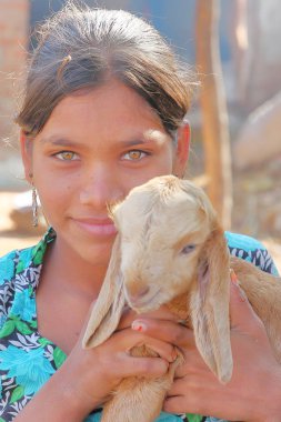 Bundi, Rajasthan, Hindistan - 09 Aralık 2017: Küçük bir keçi ve Bundi yakın bir köyde gözleri açık ile güzel bir genç kadının portresi