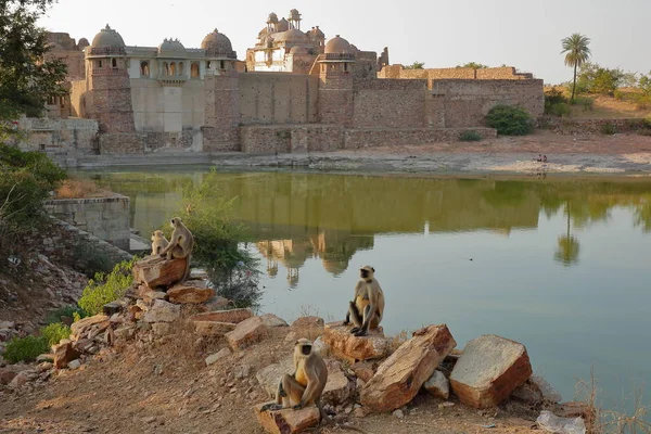 Reflections Ratan Singh Palace Located Fort Garh Chittorgarh Rajasthan India — Photo