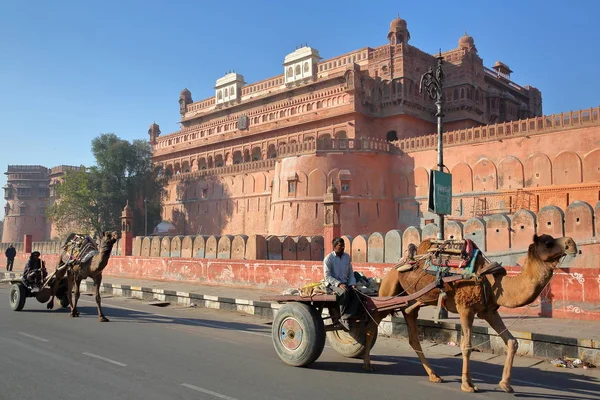 Bikaner Rajasthan India December 2017 Rijtuigen Met Kamelen Voor Junagarh — Stockfoto