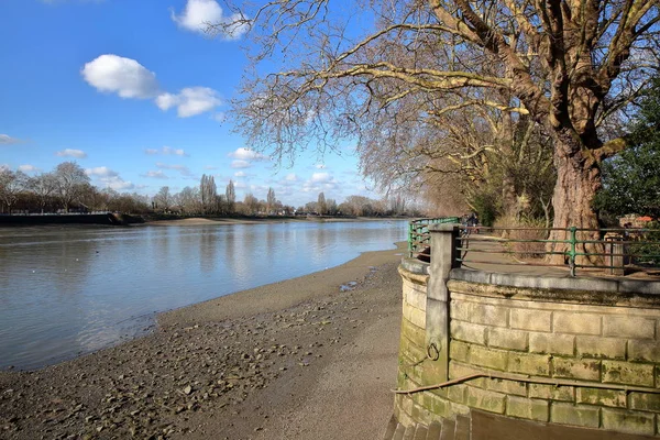 Bishops Park Längs Floden Themsen Vinter Fulham Stadsdel Hammersmith Och — Stockfoto