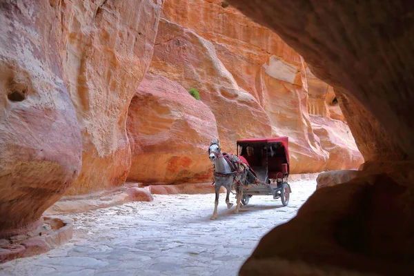 Petra Jordanien Mars 2016 Vagn Genom Siq Canyon Leder Till — Stockfoto