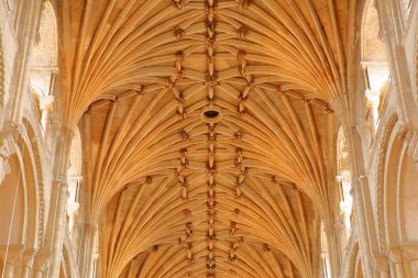 Norwich, İngiltere - 31 Mart 2018: The Cathedral tonozlu çatısı yakın çekim 