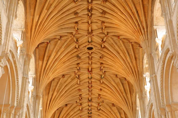 Norwich March 2018 Close Vaulted Roof Cathedral — Stock Photo, Image