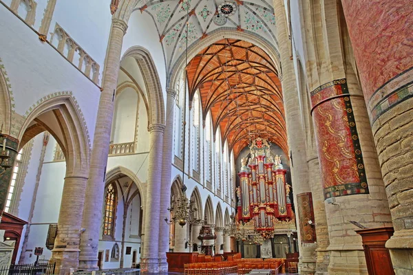荷兰哈莱姆 2019年11月29日 圣巴沃科克教堂内部 有木制拱顶和管风琴 由克里斯蒂安 穆勒建于1738年 — 图库照片