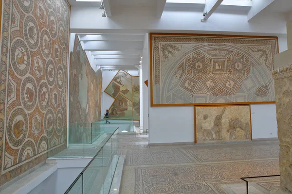 Túnez Túnez Diciembre 2019 Impresionantes Mosaicos Romanos Ubicados Dentro Del — Foto de Stock