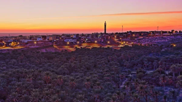 City Nefta Sunset Tunisia Palm Grove Foreground — Stock Photo, Image