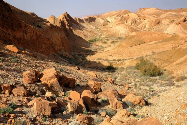 Desierto Paisaje Mineral Sobre Oasis Chebika Cerca Nefta Túnez — Foto de Stock