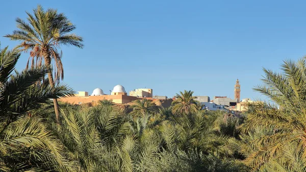 Ciudad Nefta Túnez Miraba Través Palmeral Con Cúpulas Blancas Minarete —  Fotos de Stock