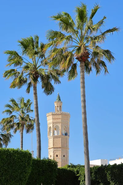 Tunus 'un Mahdia şehrinde palmiye ağaçlarıyla çevrili Soliman Hamza Camii' nin minaresine yakın çekim