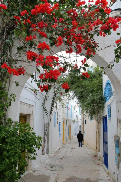 Típica Calle Empedrada Estrecha Con Puertas Coloridas Arcadas Flores Colores —  Fotos de Stock