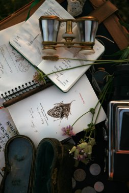 Vintage inci opera gözlük, bloknot botanik resimler