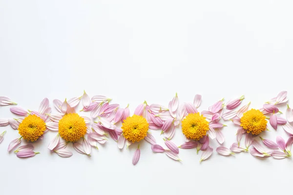 Floral Decoration On White Background — Stock Photo, Image