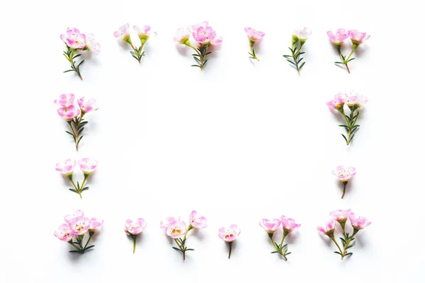 Moldura de flores rosa — Fotografia de Stock