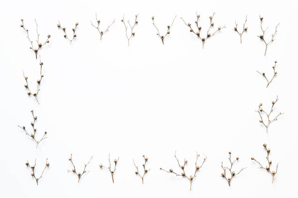 Dry Branches Frame