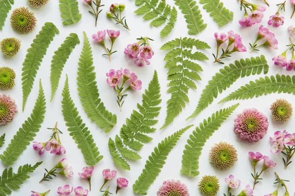 Floral Arrangement With Fern Leaves — Stock Photo, Image