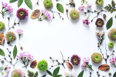 Beyaz arkaplanda çiçek çerçevesi