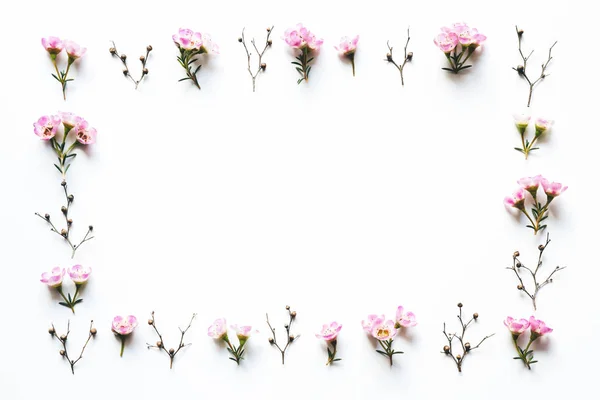 Moldura de flores rosa no fundo branco — Fotografia de Stock