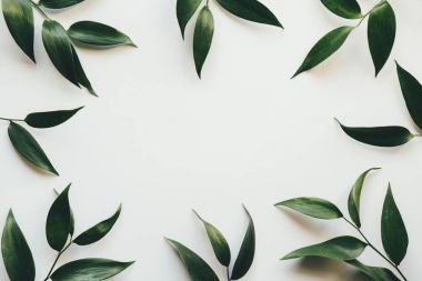 Yeşil yapraklı çerçeve